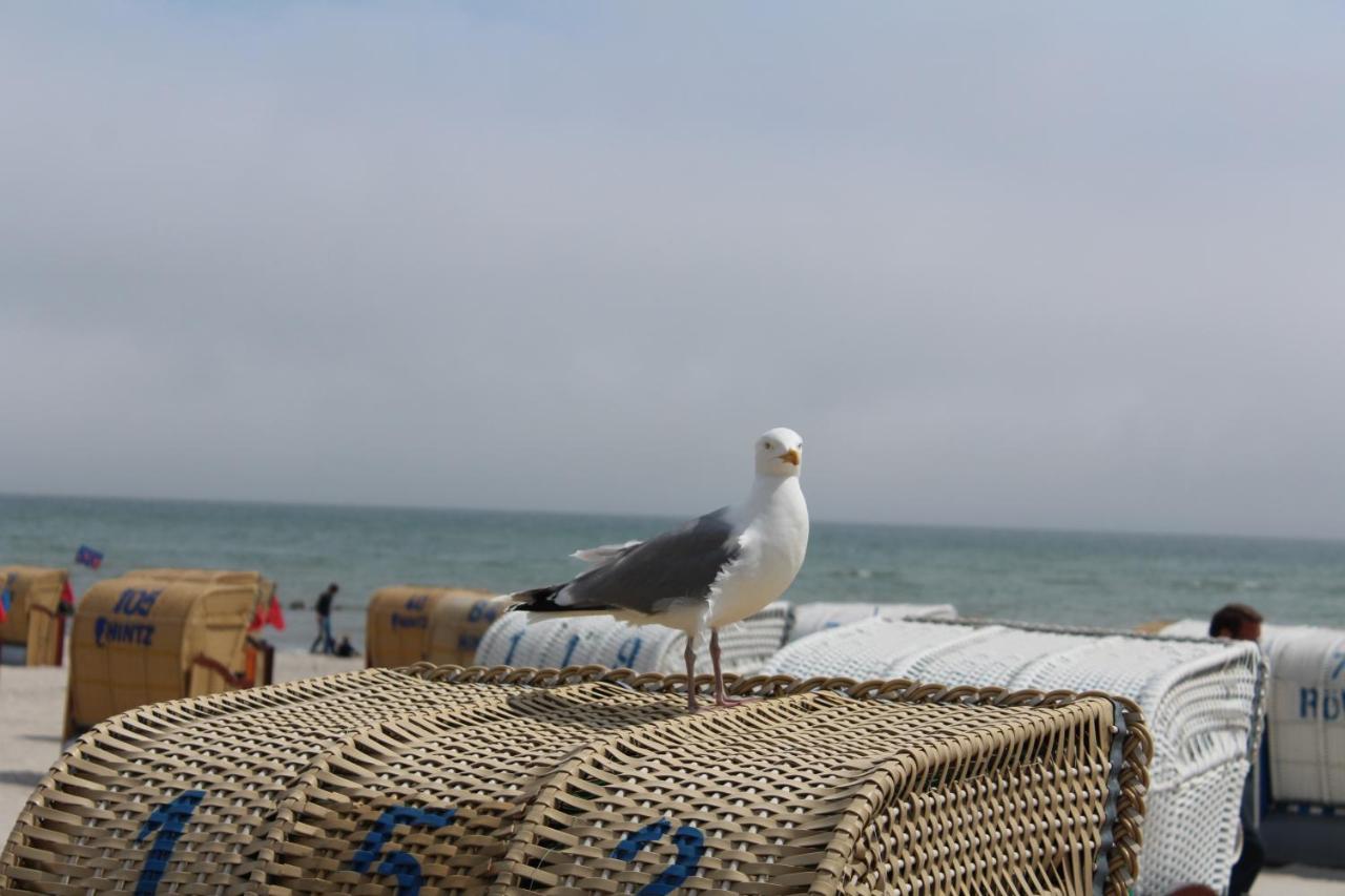 Ferienwohnungen Im Haus Strandburg 格洛米茨 外观 照片