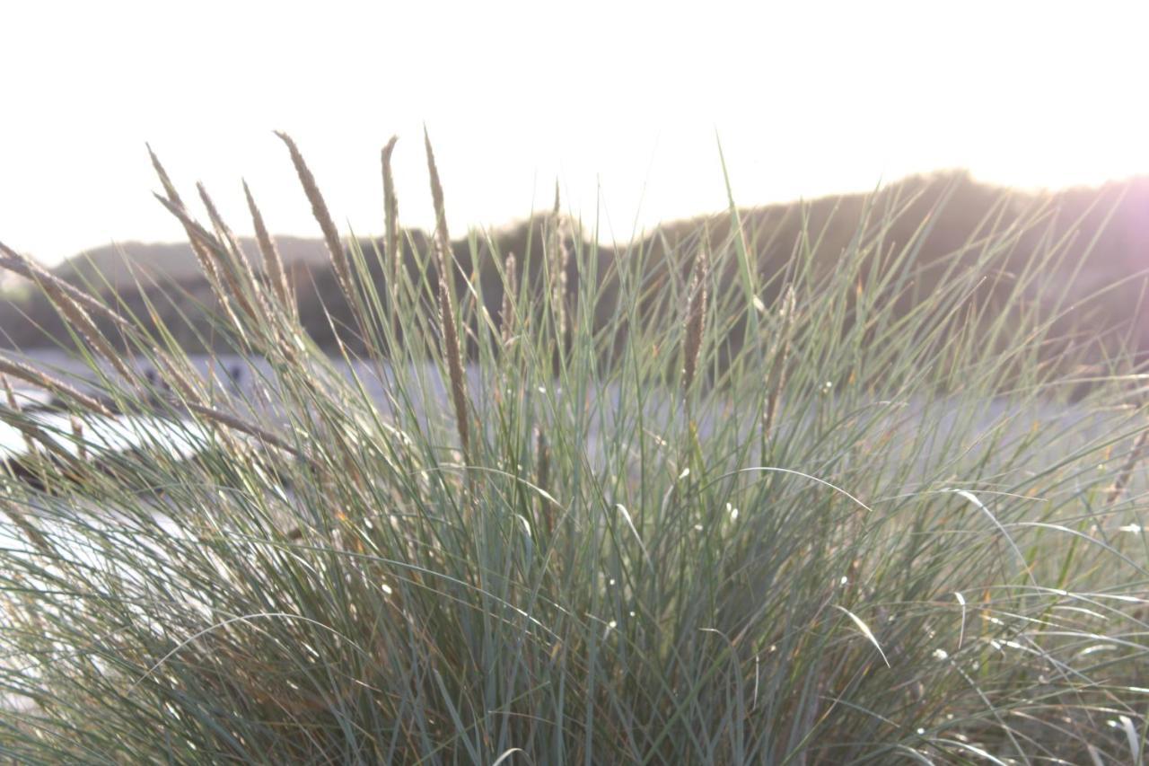 Ferienwohnungen Im Haus Strandburg 格洛米茨 外观 照片